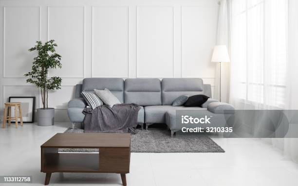 Scandinavian Style Livingroom With Fabric Sofa Sofa Table Morning Image With Plant Sofa Table On The Lug Stock Photo - Download Image Now