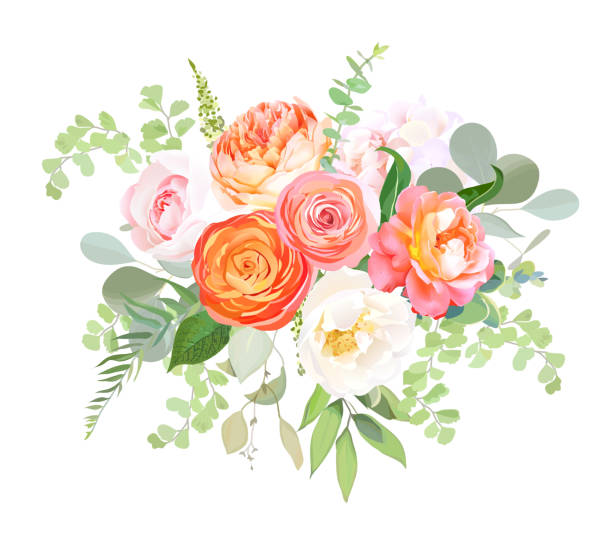 Orange ranunculus, pink rose, white hydrangea, juliet rose, garden flowers Orange ranunculus, pink rose, white hydrangea, juliet rose, garden flowers, eucalyptus, greenery and decorative plants vector bouquet.Living coral 2019 trendy color. Elements are isolated and editable buttercup family stock illustrations