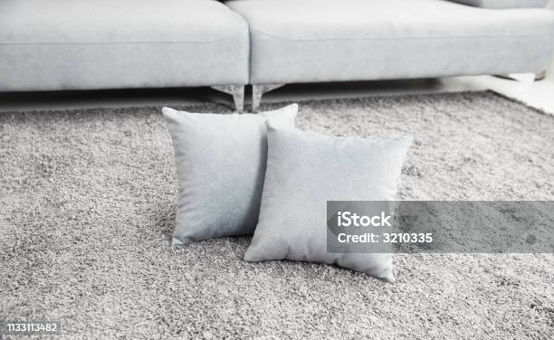 Scandinavian Style Livingroom With Fabric Sofa Sofa Table Morning Image With Plant Sofa Table On The Lug Stock Photo - Download Image Now