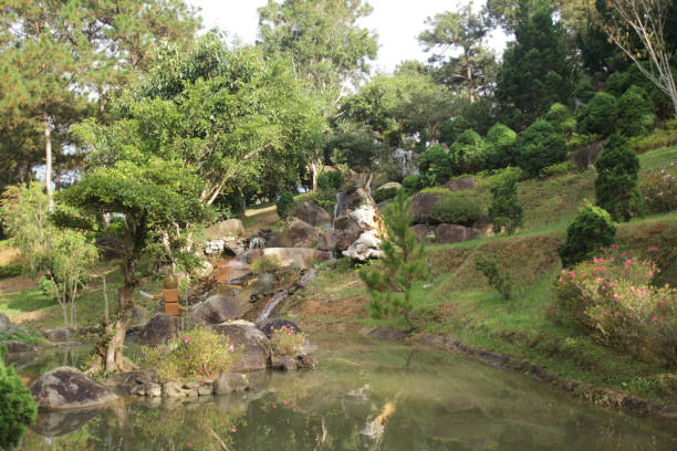istock Nice landscape with lake in the forest 1133113534