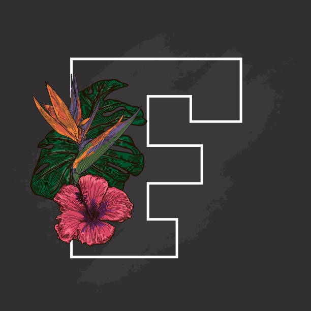 ilustrações de stock, clip art, desenhos animados e ícones de chalkboard tropical plant floral drop cap f - letter f clip art decoration line art