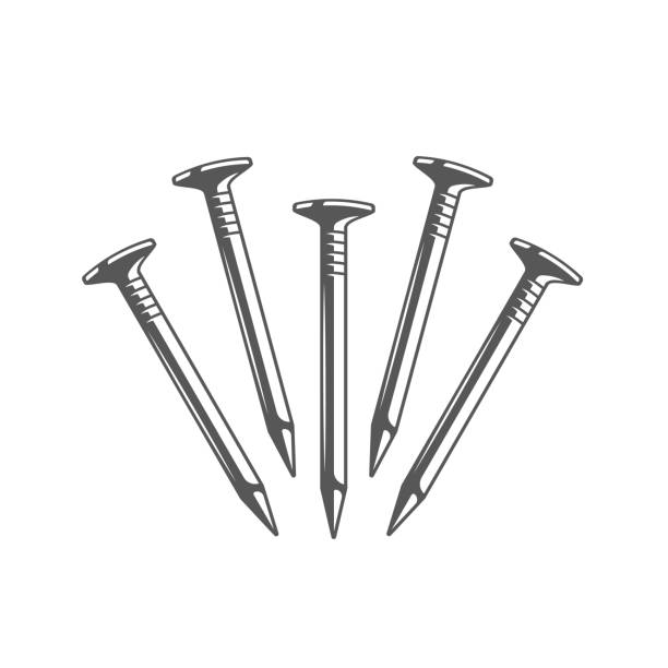 손톱에 고립 된 흰색 배경 - construction construction material work tool nail stock illustrations