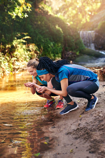 istock Everything you need is in nature 1133119846