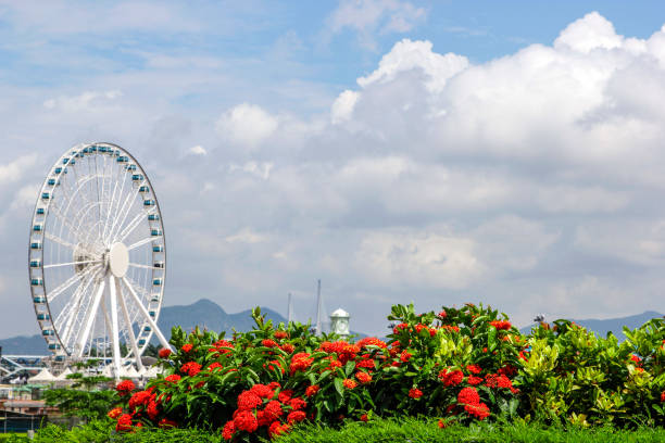 istock City under the blue sky white cloud ferris wheel 1133119985