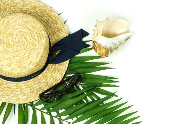 istock Summer travel accessories top view background. tropical palm leaf branches, straw hut , sunglasses, seashell on white background with empty space for text. Travel vacation, summer background. Flat lay 1133120224