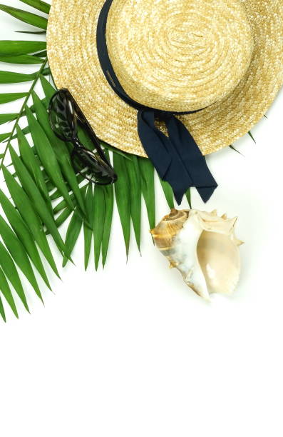 istock Summer travel accessories top view background. tropical palm leaf branches, straw hut , sunglasses, seashell on white background with empty space for text. Travel vacation, summer background. Flat lay 1133120376