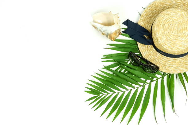 istock Summer travel accessories top view background. tropical palm leaf branches, straw hut , sunglasses, seashell on white background with empty space for text. Travel vacation, summer background. Flat lay 1133120452