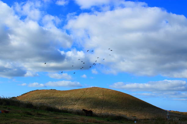 It is a scenery of Jeju \