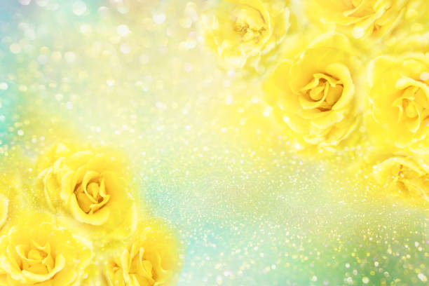 istock yellow roses flower frame in soft vintage tone with glitters and copy space 1133123394