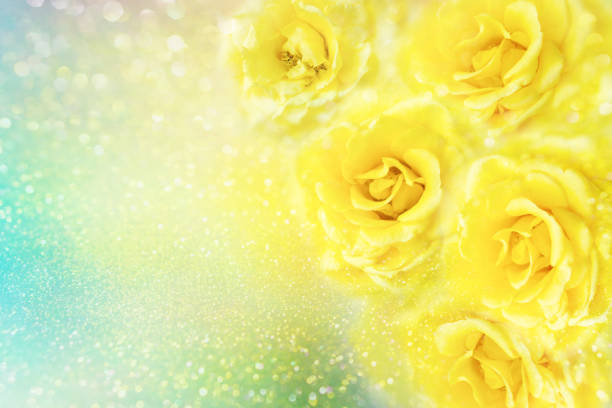 istock yellow roses flower frame in soft vintage tone with glitters and copy space 1133123442