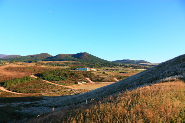 istock New Star Oreum, Pampas, Autumn, view, 1133123600