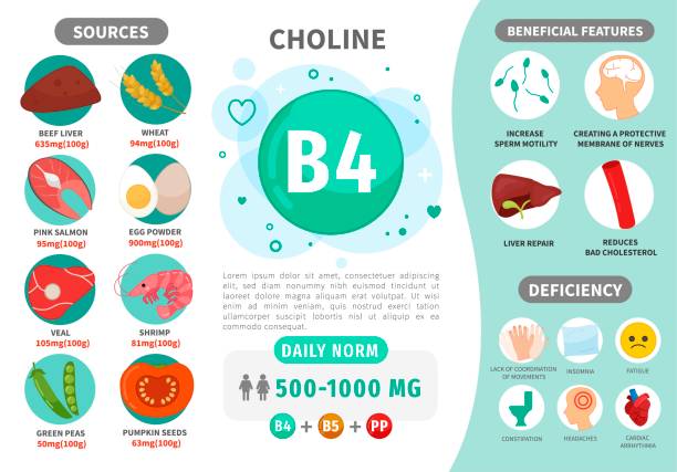 инфографика витамин в4. - b4 stock illustrations