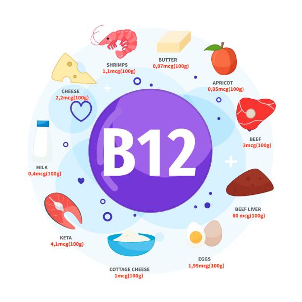 Vector poster products with vitamin B12. Vector poster products with vitamin B12. Cartoon illustrations of products. cottage cheese stock illustrations