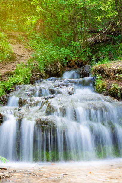 istock Small forest waterfall in the summer, closeup 1133127004