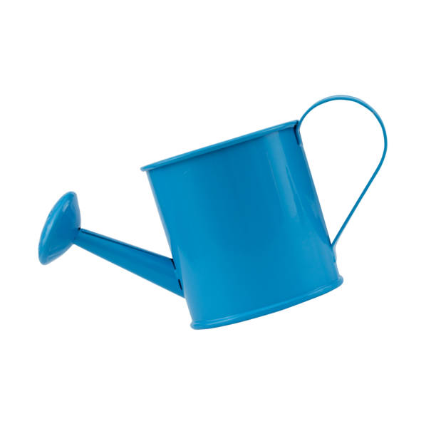 istock watering can isolated on white background - clipping paths 1133132089