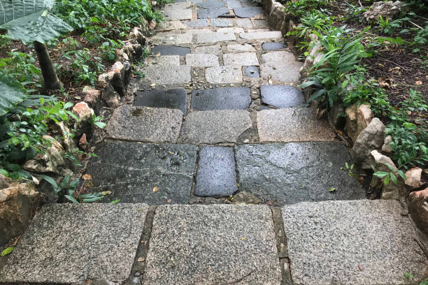istock stone block pathway with green leaf in a park 1133132940