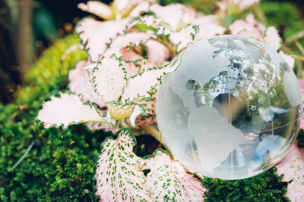istock Globe glass in grass forest on nature 1133136045