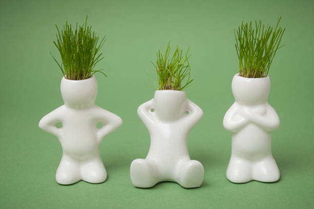 closeup of three white pots in shaped man with grass in his heads on green background