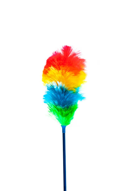 istock Dust frond against Weissem background 1133137665