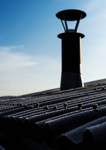 Roof nails popping through the plates