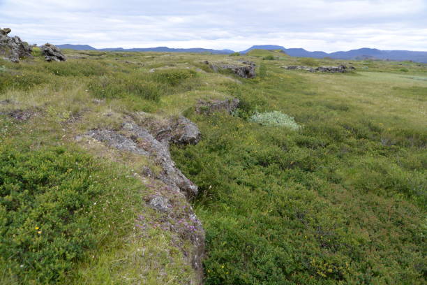 istock Landscape at Myvatn, Iceland 1133143897