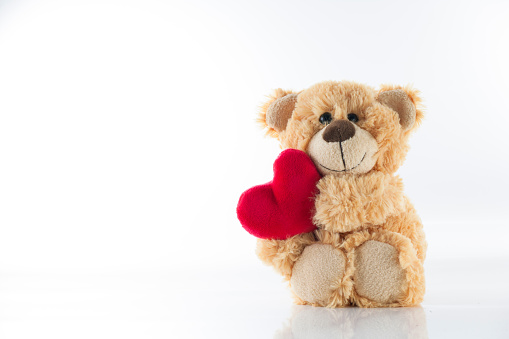 Valentine's day, Cute stuffed bear holding heart, valentine decoration on white background , Love image