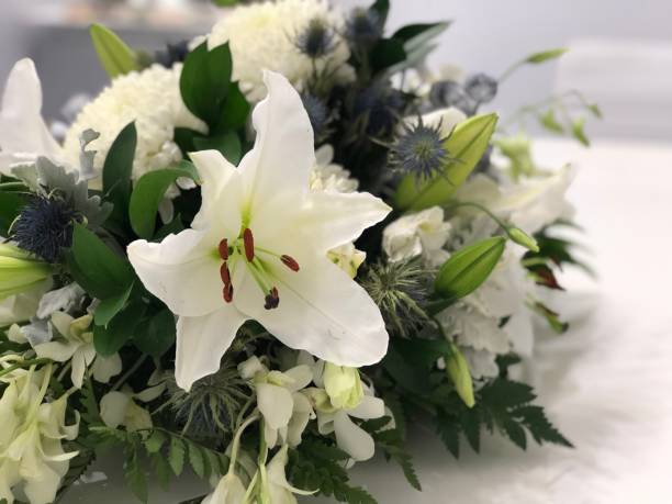 istock White bunch of flowers 1133147859