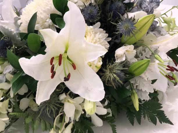 istock White bunch of flowers 1133147869