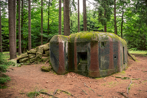Camouflaged bunker WWII in the forrest