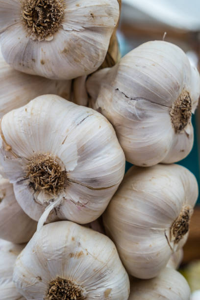 istock fresh garlic on the market 1133151375