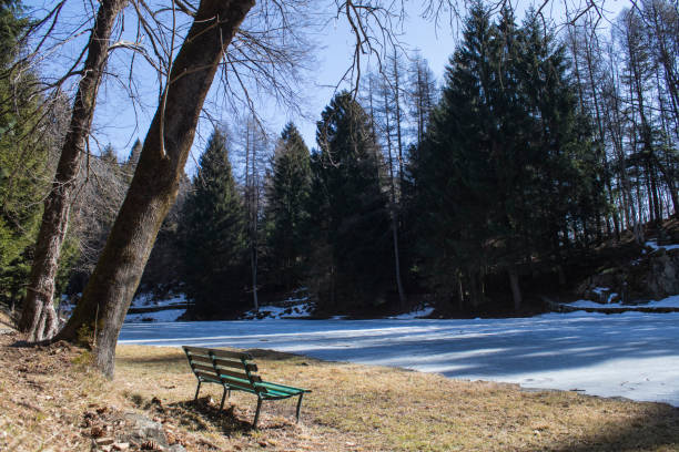 istock Relaxing place, bench near a lake during winter composition 1133154988