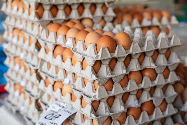 istock Eggs in carton packages background, texture. Closeup view 1133157038