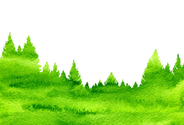 istock Abstract nature background of watercolor landscape with fir trees 1133158954