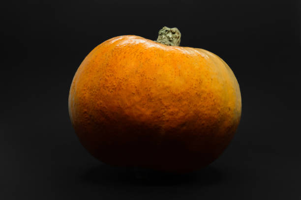 istock Orange pumpkin placed on black background and partly darken with shadow with copy space 1133162119