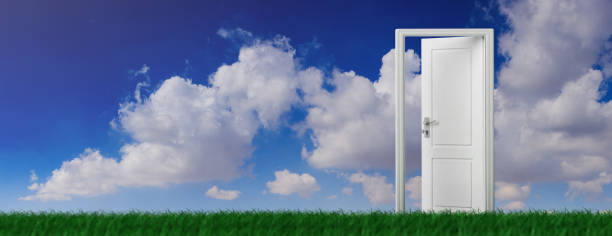 istock Open door on green grass, blue sky background, banner. 3d illustration 1133163238