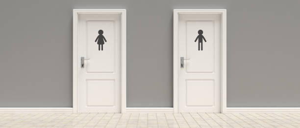 istock WC, toilets. Two closed doors on gray wall and tiled floor background, banner. 3d illustration 1133163250