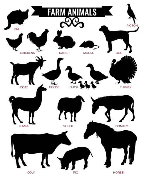 농장 동물의 실루엣 - pig silhouette animal livestock stock illustrations