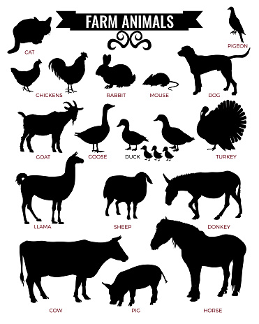 Silhouettes of farm animals. Vector illustration isolated on white background