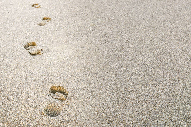 Footprints on beach sand Beach sand footprints with copy space. Vacation or business concept legacy concept stock pictures, royalty-free photos & images