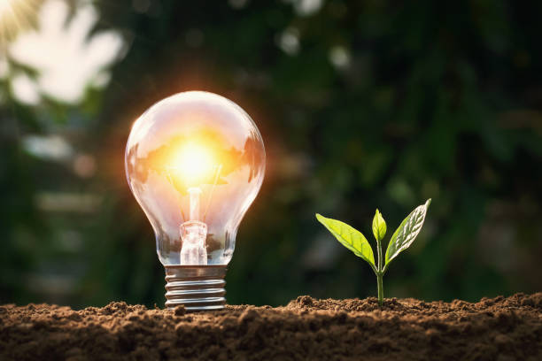 istock ightbulb with small plant on soil and sunshine. concept saving energy 1133167967