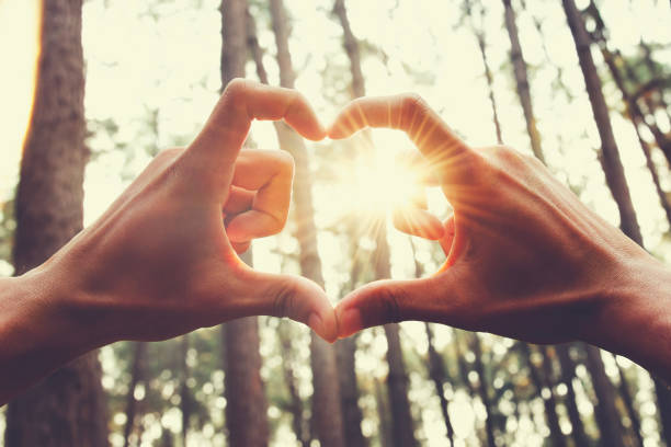 istock people hand hearts shape with sunshine in nature 1133168035