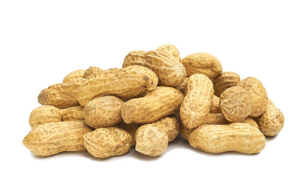 istock Roasted peanuts peeled and not peeled in shell nutritious delicacy 1133169469
