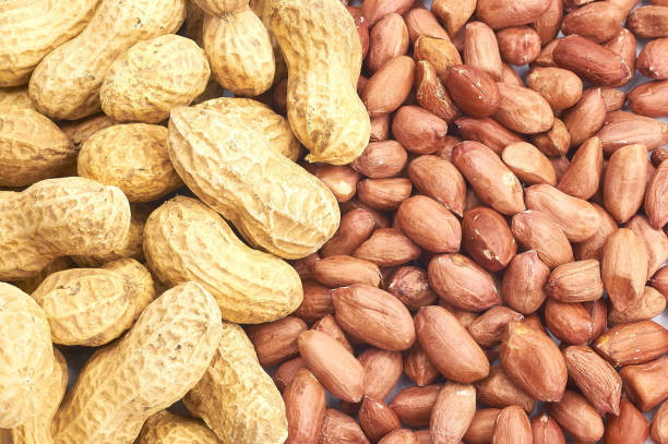 istock Roasted peanuts peeled and not peeled in shell nutritious delicacy 1133169470