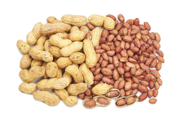 istock Roasted peanuts peeled and not peeled in shell nutritious delicacy 1133169524