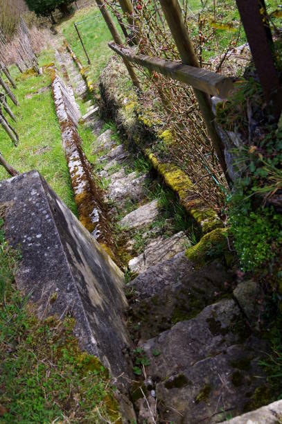 istock Steep vineyard staircase with moss and grass in oblique camera posture 1133170701