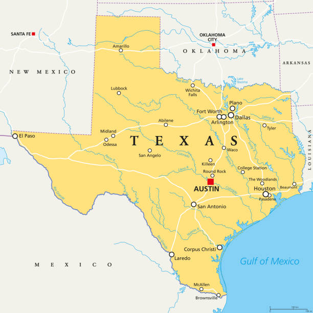 ilustraciones, imágenes clip art, dibujos animados e iconos de stock de texas, estados unidos, mapa político - rio grande illustrations