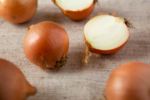 istock Unpeeled raw yellow onions on cloth, low angle view. Close-up. 1133172317