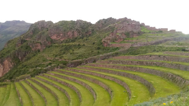 The most important archaeological site in sacred valley, Pisac, Peru, 02/07/2019 The most important archaeological site in sacred valley, Pisac, Peru, 02/07/2019 ruína antiga stock pictures, royalty-free photos & images