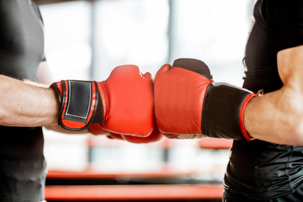 istock Boxer's greeting before the fight on the boxing ring 1133176217