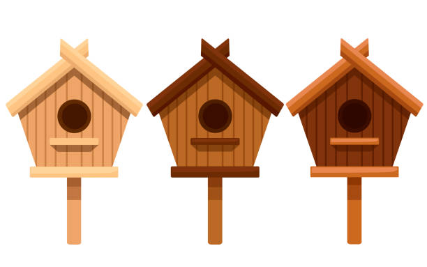 illustrazioni stock, clip art, cartoni animati e icone di tendenza di set di casa di uccelli di legno. scatola di nidificazione da diversi tipi di legno. illustrazione vettoriale piatta isolata su sfondo bianco - birdhouse animal nest house residential structure